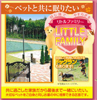 �������A���X�N�G�A���q