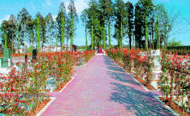 �x�������쉀