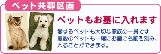 �g�����쉀